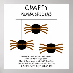 Ninja Spiders! Poster