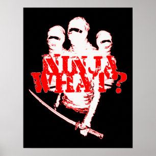 NINJA WHAT? POSTER