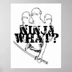 NINJA WHAT? POSTER