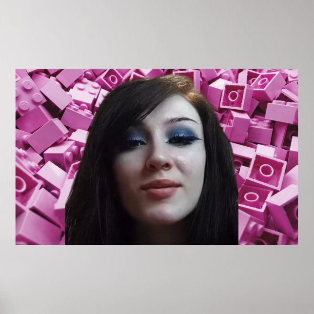 Ninjagobabe2001 Poster (Front)