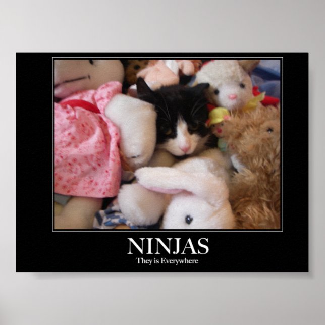 Ninjas - They is everywhere Poster (Front)