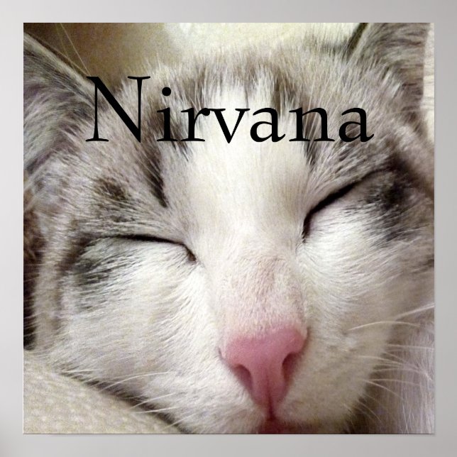 Nirvana Cat Poster (Front)