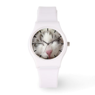 Nirvana Cat Watch