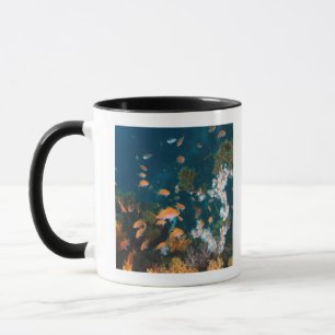 Nishiizumachi, Shizuoka Prefecture, Japan 2 Mug