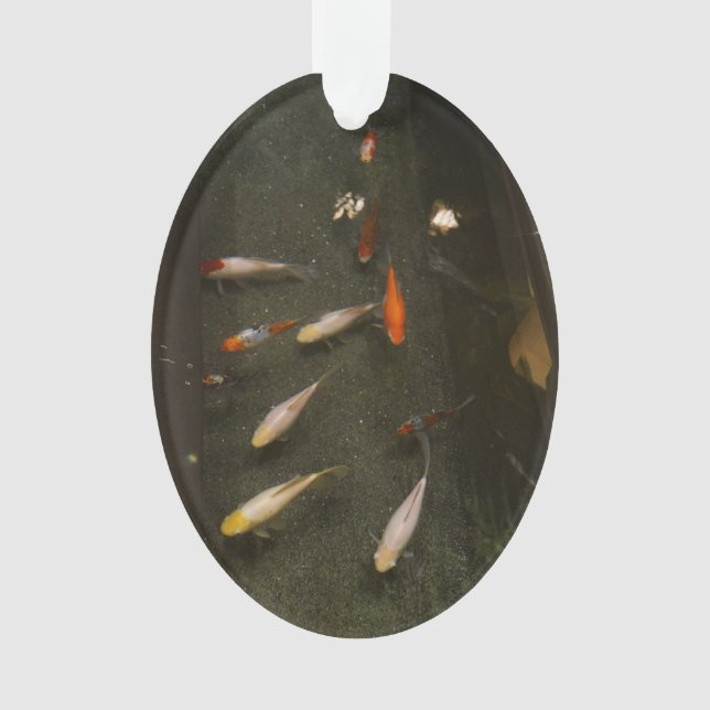 Nishikigoi (Koi Fish) Ornament (Front)