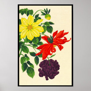 Nishimura Hodo Dahlias oriental japanese flowers Poster