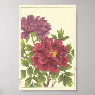 Nishimura Hodo Peony Japanese Flowers Fine Art Poster