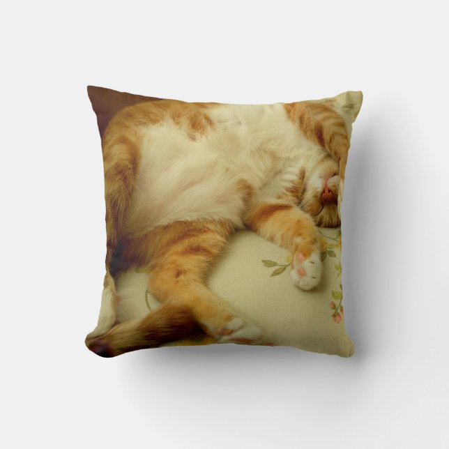 Nite Nite Dreaming Cat Pillow (Front)