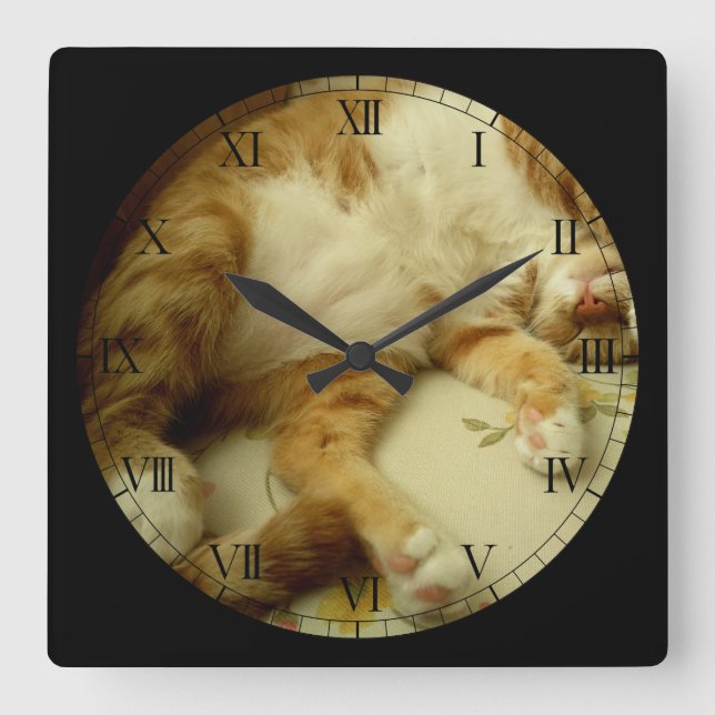 Nite Nite Dreaming Cat Wall Clock (Front)