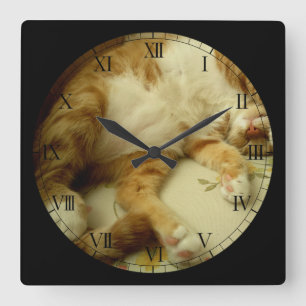Nite Nite Dreaming Cat Wall Clock