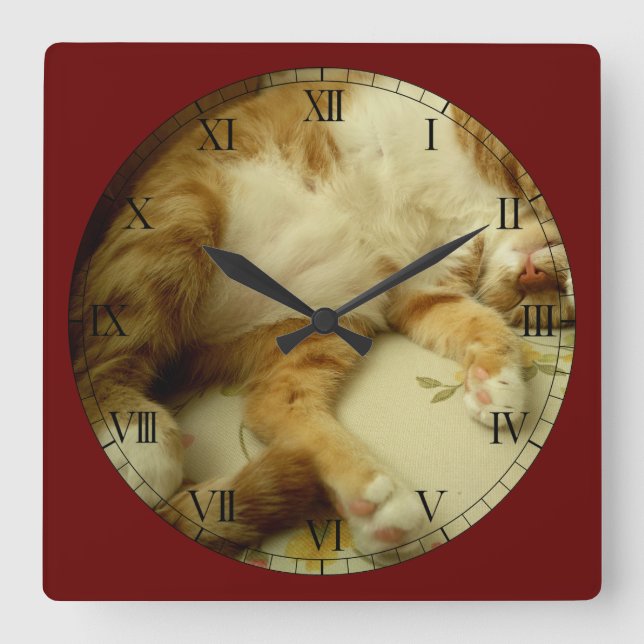 Nite Nite Dreaming Cat Wall Clock (Front)