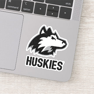 NIU Huskies Distressed