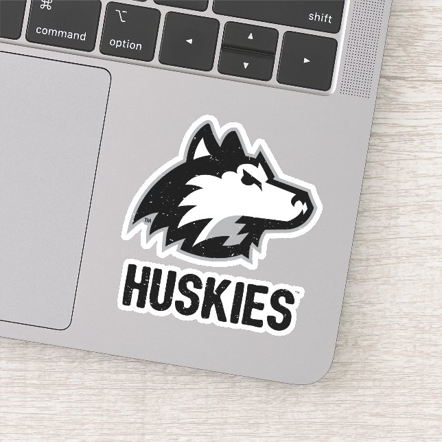 NIU Huskies Distressed (Detail)