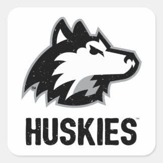 NIU Huskies Distressed Square Sticker