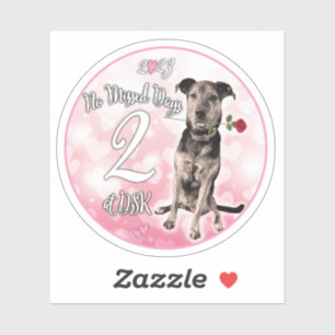 NMD at DSK - February 2023 Badge Sticker