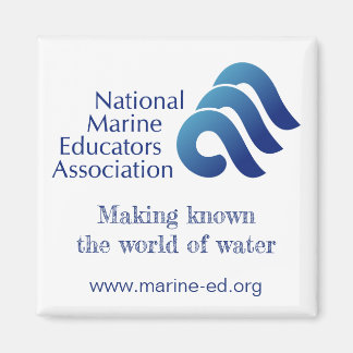 NMEA magnet