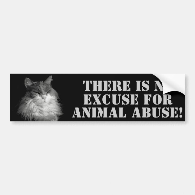 NO  Animal Abuse No Excuses Bumper Sticker (Front)
