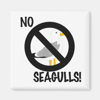 No annoying seagull zone! magnet
