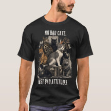 No Bad Cats, Just Bad Attitudes | Cat Lover