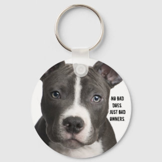 No Bad Dogs. Just Bad Owners Keychain
