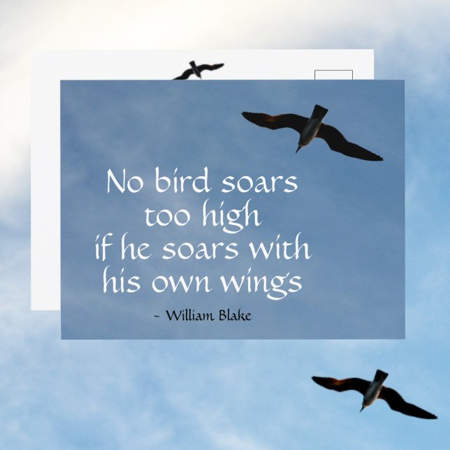 No Bird Soars Too High Quote Seagull in Flight Postcard (Creator Uploaded)