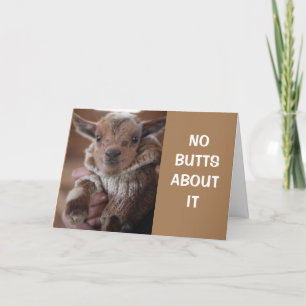 NO BUTTS ABOUT IT "HAPPY BIRTHDAY TO YOU" CARD