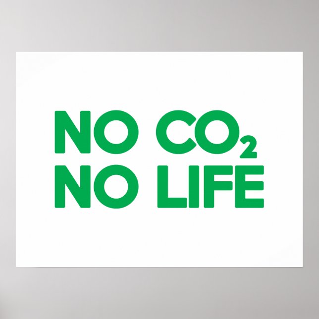 NO CO2 NO LIFE POSTER (Front)