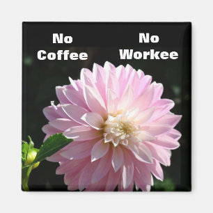 No Coffee No Workee magnet Pink Dahlia Flower