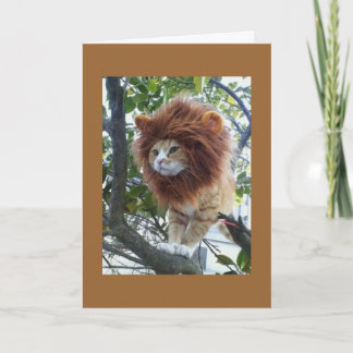 NO DISGUISE-40th BIRTHDAY GROUP Card