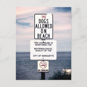 No Dogs Allowed On Beach Postcard