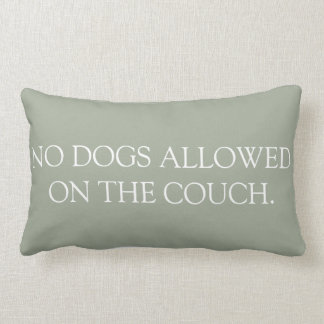 No Dogs Allowed on the Couch lumbar pillow. Lumbar Cushion