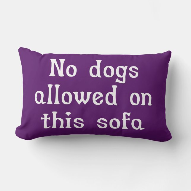No Dogs Allowed on this Sofa Lumbar Cushion (Front)