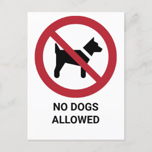 No Dogs Allowed, Prohibition Sign Postcard