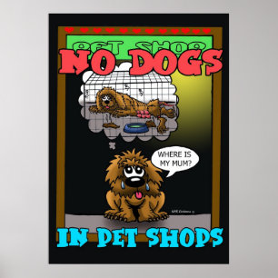 NO DOGS IN PET SHOPS POSTER