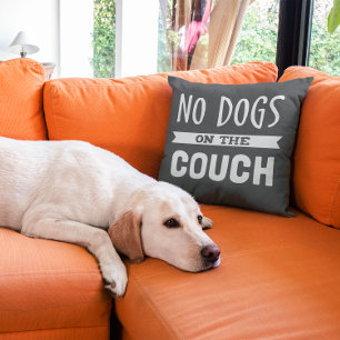 No Dogs on the Couch   Humourous Cushion
