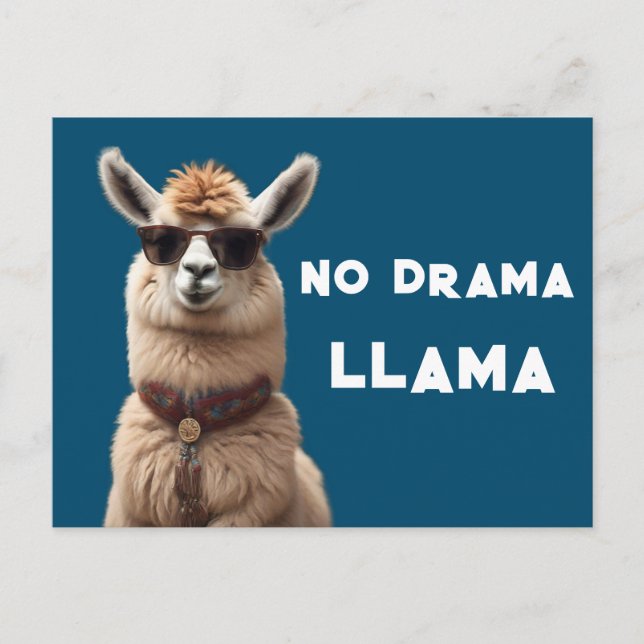 No Drama Llama Cool Alpaca Wear Sunglasses Blue Postcard (Front)