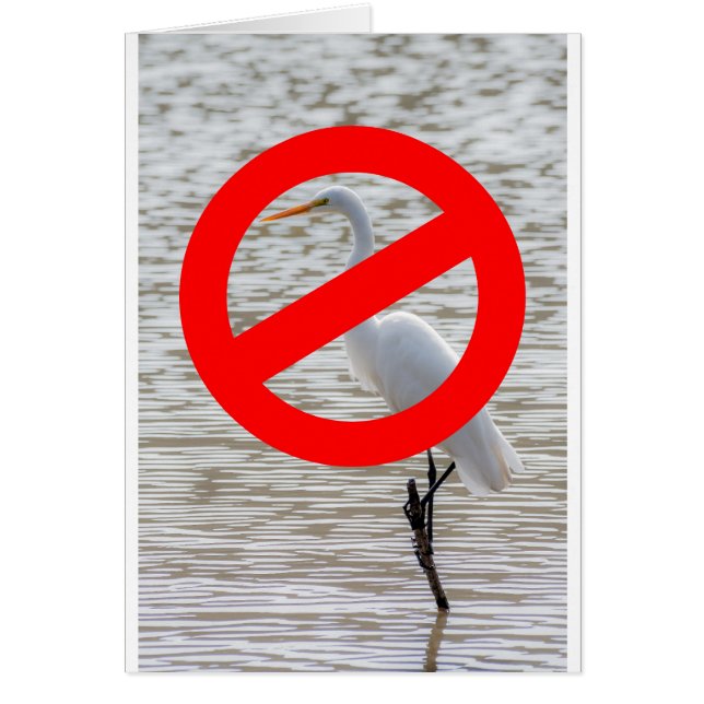 No Egrets (Front)