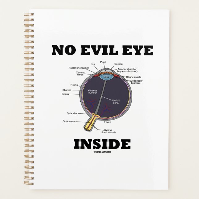 No Evil Eye Inside Anatomical Eyeball Humour Planner (Front)