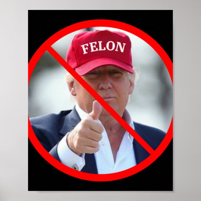 No Felons In Office  Poster (Front)