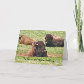 No flies on you on your birthday - Birthday Card