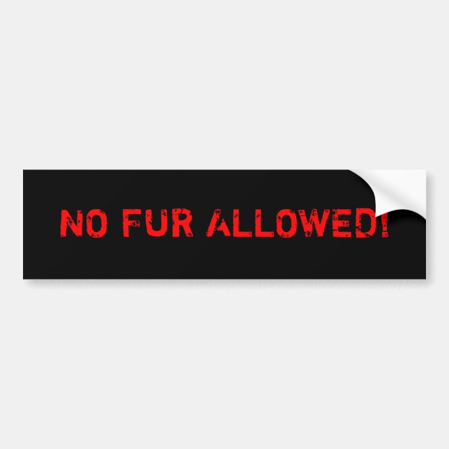 No Fur Allowed! Bumper Sticker (Front)