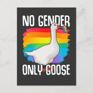 No Gender Goose LGBT Flag Gay Lesbian Pride Postcard