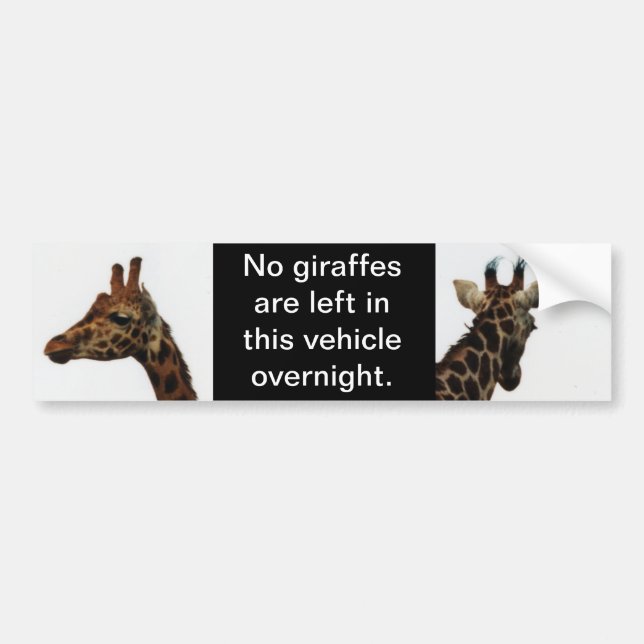 no giraffes left behind bumper sticker (Front)