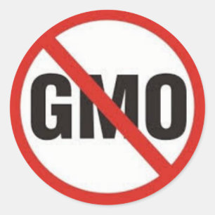 No GMO Symbol.jpg Classic Round Sticker