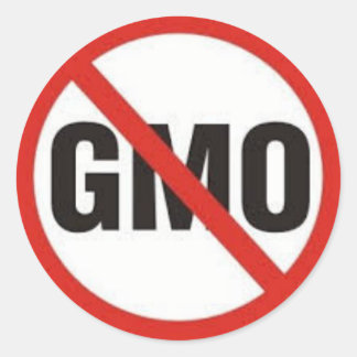 No GMO Symbol.jpg Classic Round Sticker