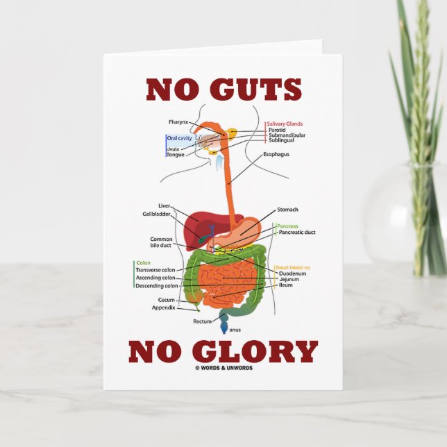 No Guts No Glory (Digestive System Anatomy Humour) Card (Front)