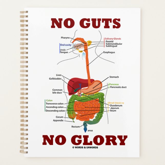No Guts No Glory Digestive System Anatomy Humour Planner (Front)