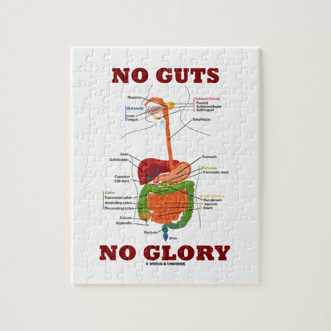 No Guts No Glory (Digestive System Humour) Jigsaw Puzzle (Vertical)
