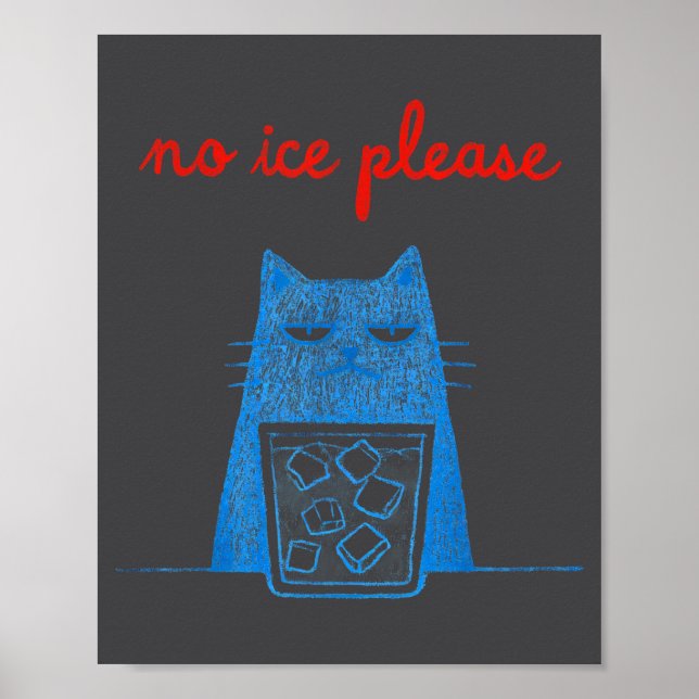 No Ice Please Cat Abolish Chinga La Migra Meme Fun Poster (Front)