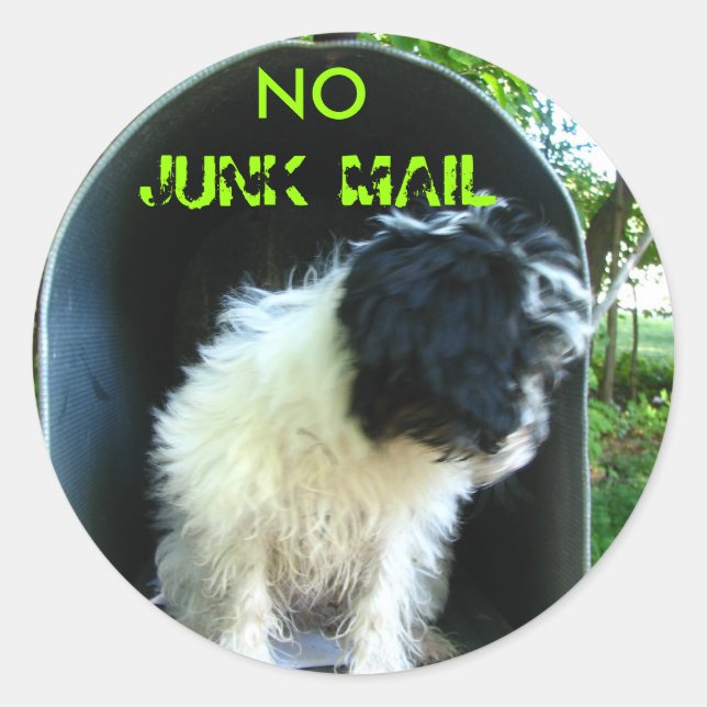 No JUNK MAIL PUPPY Classic Round Sticker (Front)